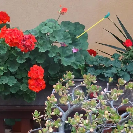 Bei Erfurt Apartament