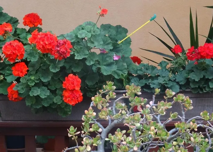 Bei Erfurt アパート